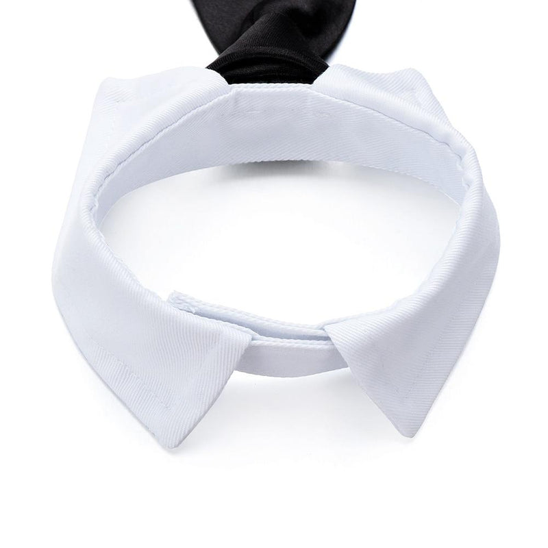 Suited Booted Tuxedo Bow for Pets