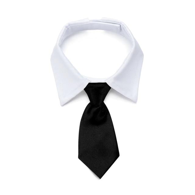 Suited Booted Tuxedo Bow for Pets