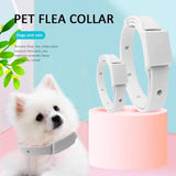 Flea Tick Prevention Pet Collar